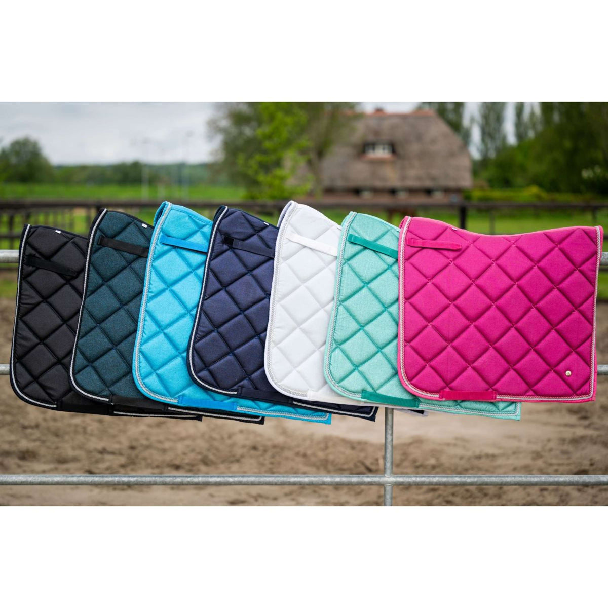 HB Ruitersport Sottosella Dressage Showtime Fucsia