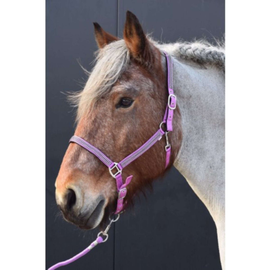 HB Cavezza Diamonds Collection Viola chiaro