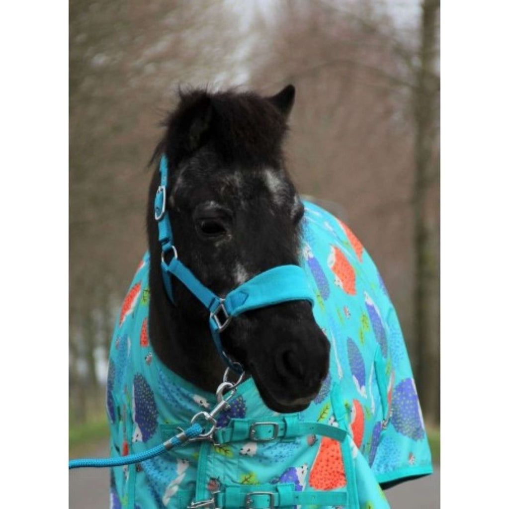 HB Cavezza Bellwood Fleece Turchese