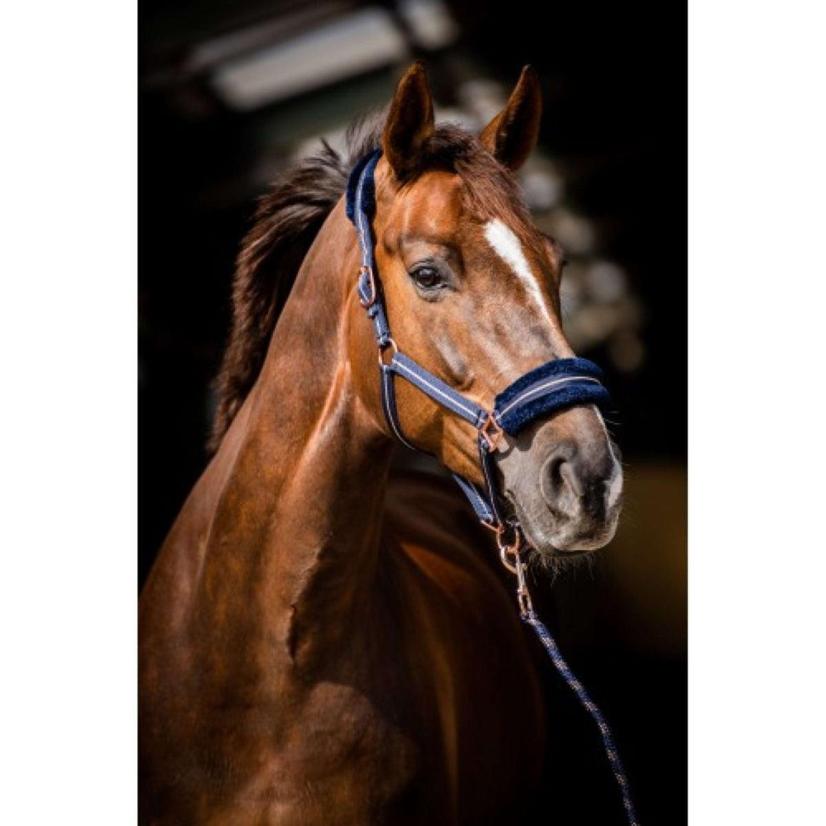 HB Capezzina Europa Rose Navy