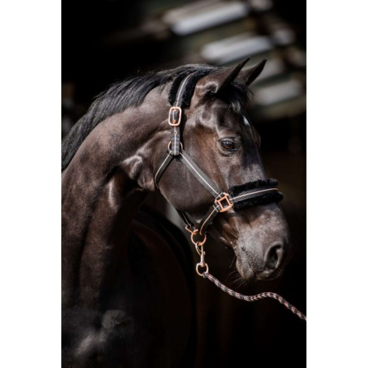 HB Capezzina Europa Rose Nero