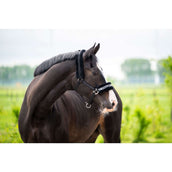 HB Ruitersport Capezzina Zebra Nero/Bianco