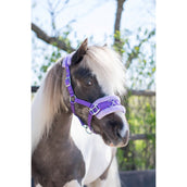 HB Capezzina Nylon Cavezza Viola