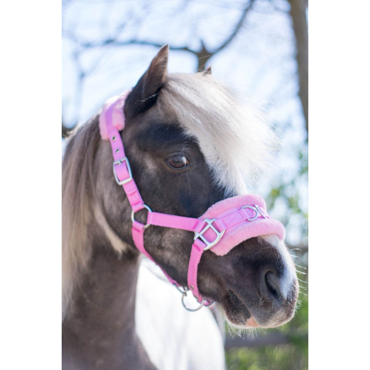 HB Capezzina Nylon Cavezza Rosa