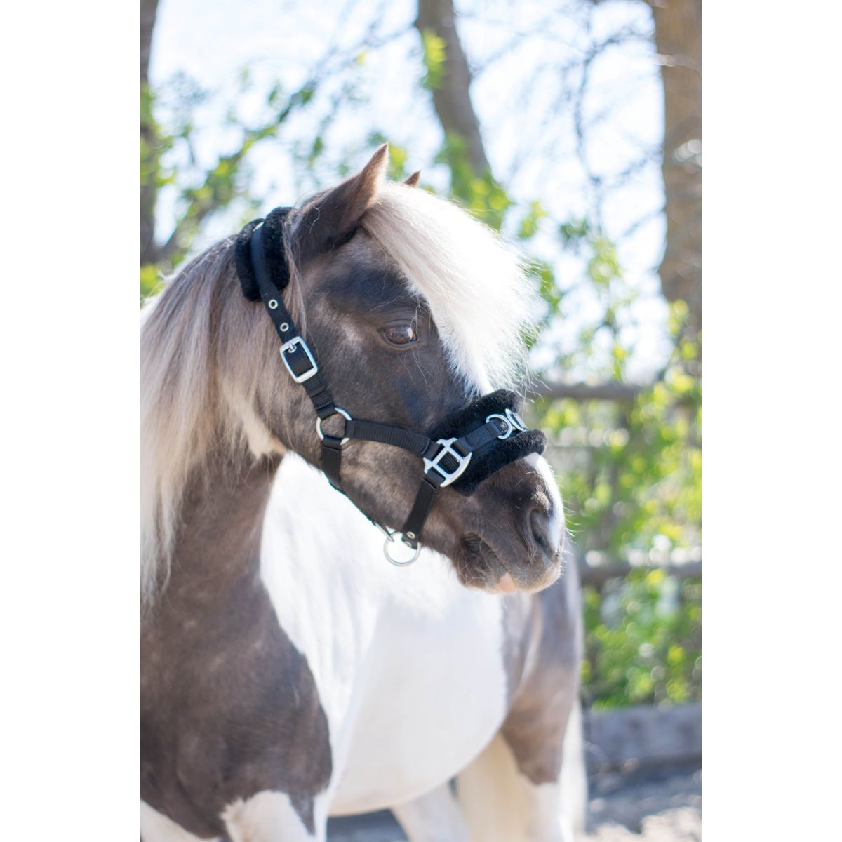 HB Capezzina Nylon Cavezza Nero