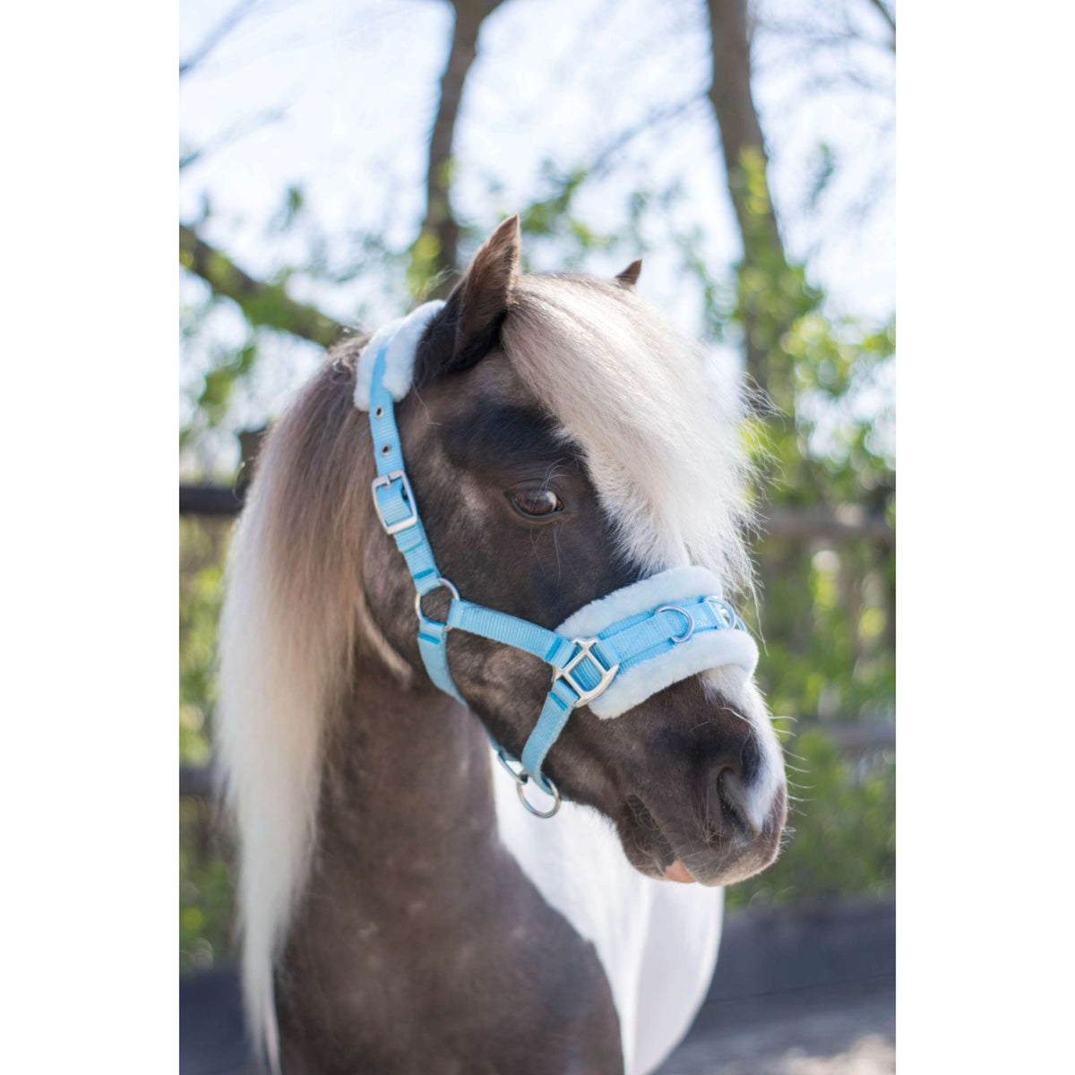 HB Capezzina Nylon Cavezza Azzurro