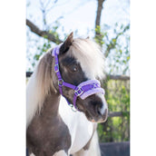 HB Capezzina Nylon Cavezza Viola