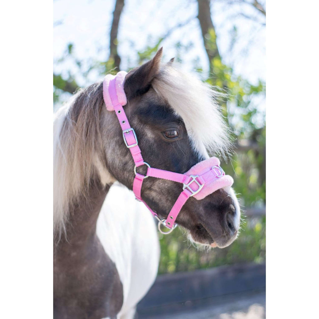 HB Cavezza Nylon Cavezzone Rosa