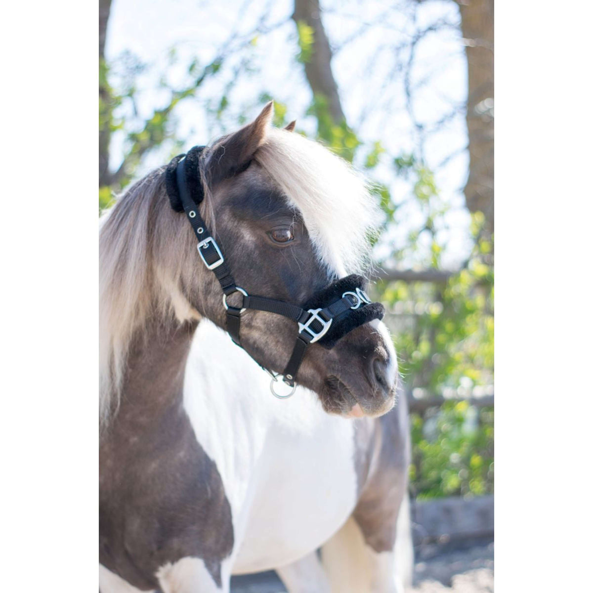 HB Capezzina Nylon Cavezza Nero