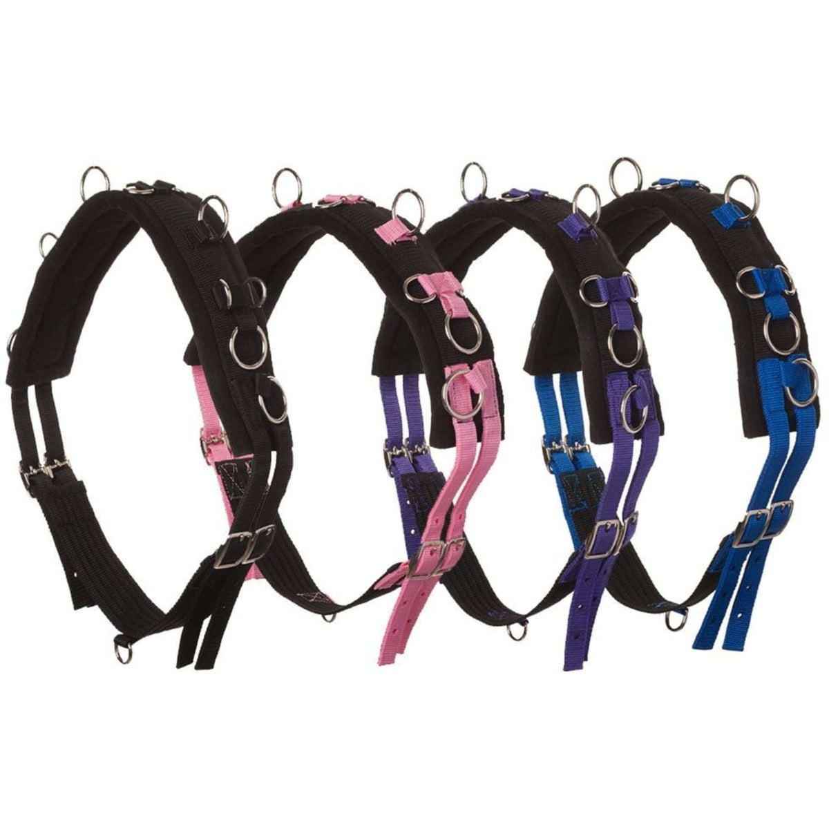 HB Ruitersport Fascia da Addestramento Little Sizes Royal Blue