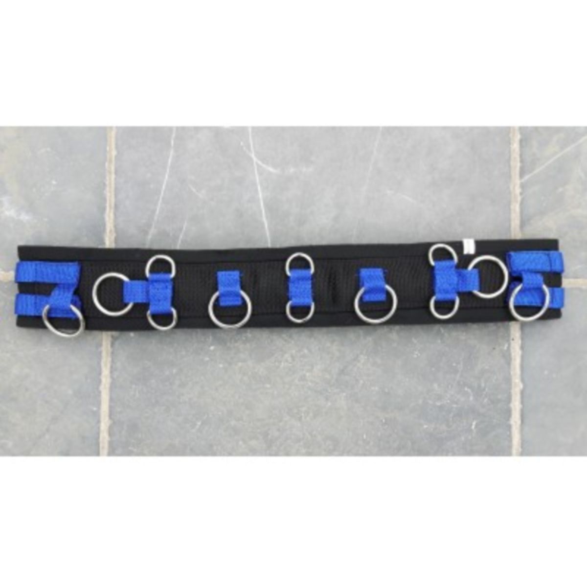 HB Ruitersport Fascia da Addestramento Little Sizes Royal Blue