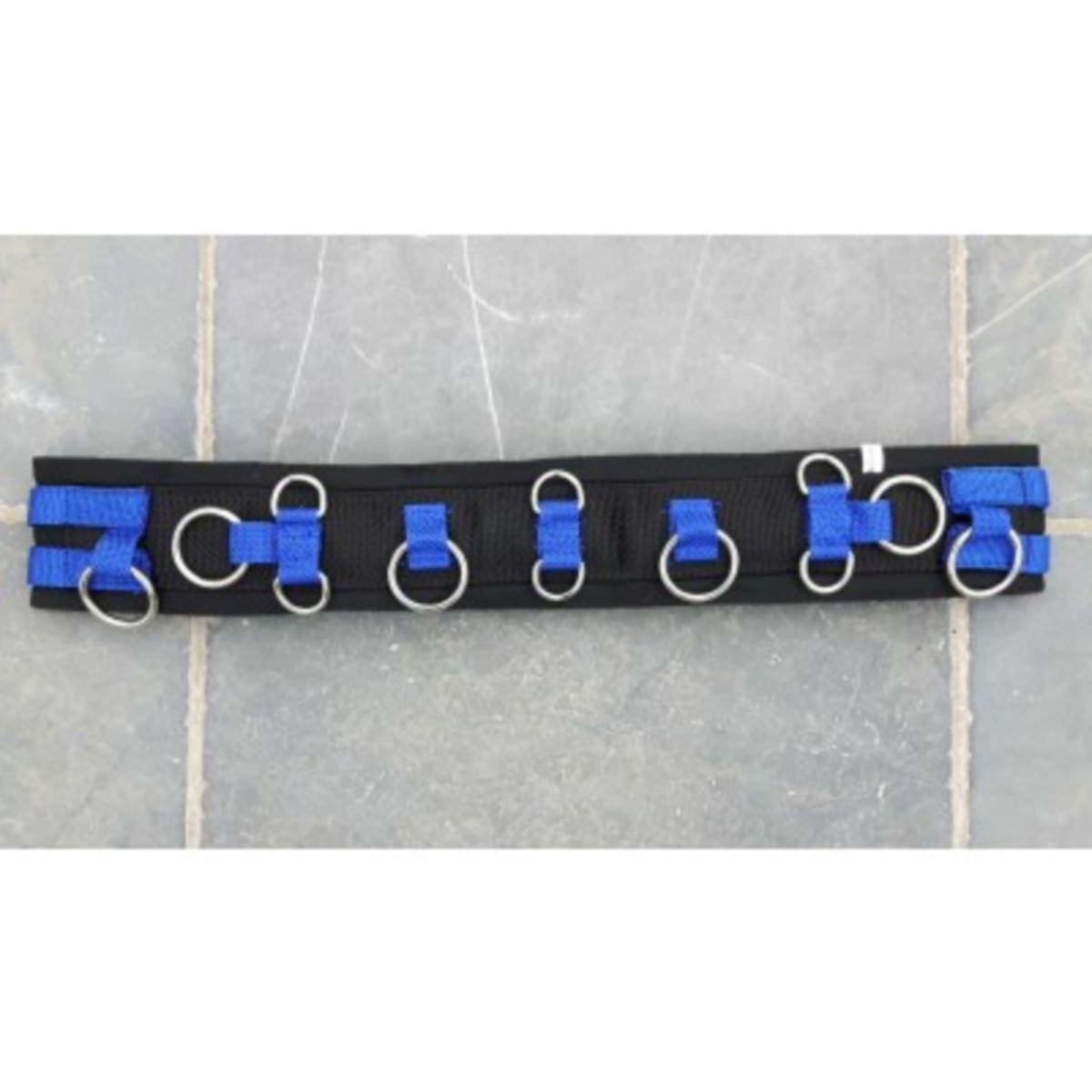 HB Ruitersport Fascia da Addestramento Little Sizes Royal Blue
