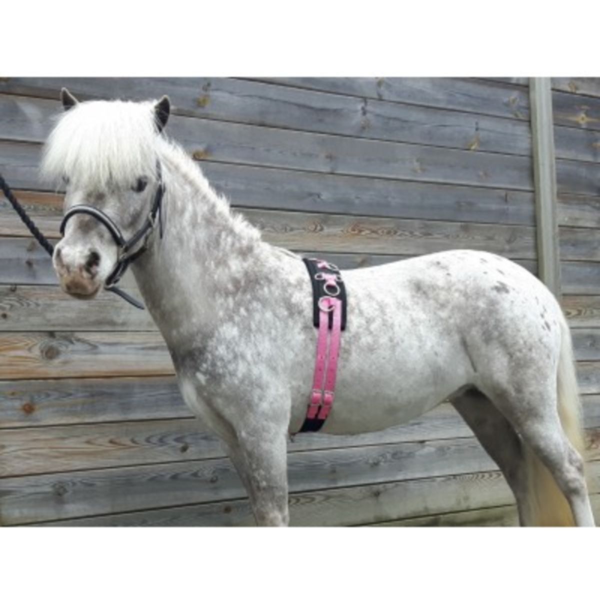 HB Fascia da Addestramento Little Sizes Rosa