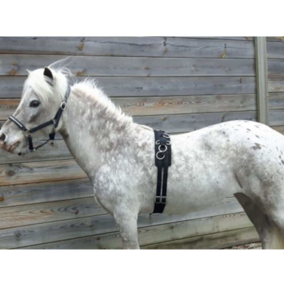 HB Fascia da Addestramento Little Sizes Nero