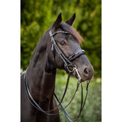 HB Ruitersport Briglia doppia Special for You Nero/Borgogna