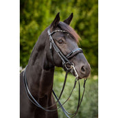 HB Ruitersport Briglia doppia Special for You Nero/Borgogna