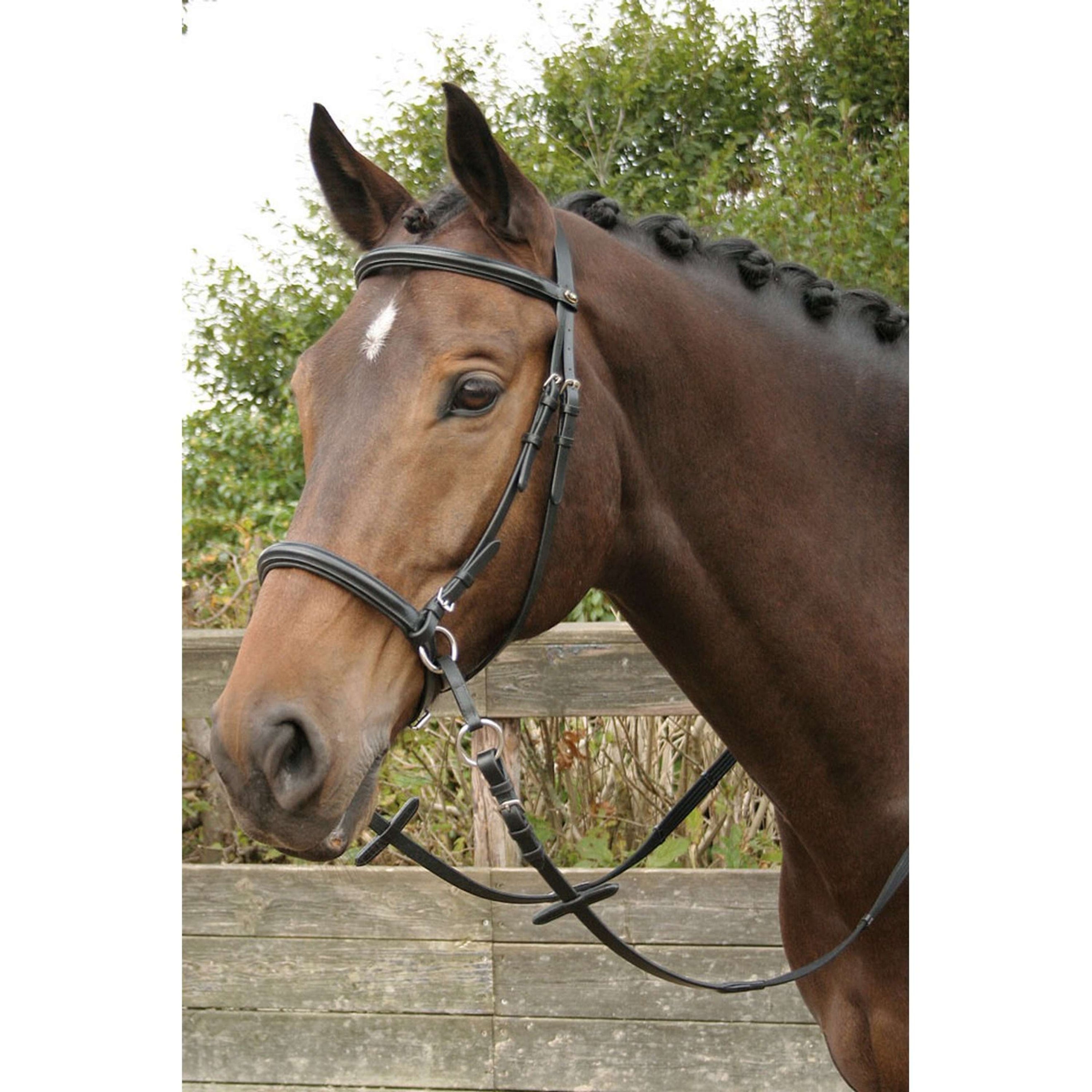 Harry's Horse Briglia senza Morso Nero Harry's Horse Briglia senza Morso Nero