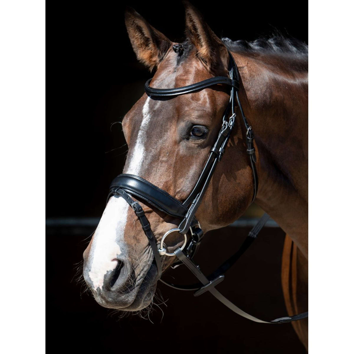 Harry's Horse Briglia Nero