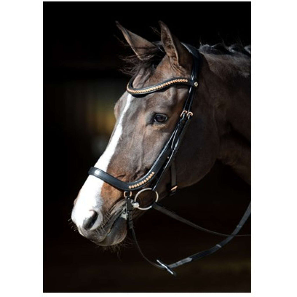Harry's Horse Briglia Anatomisch Nero