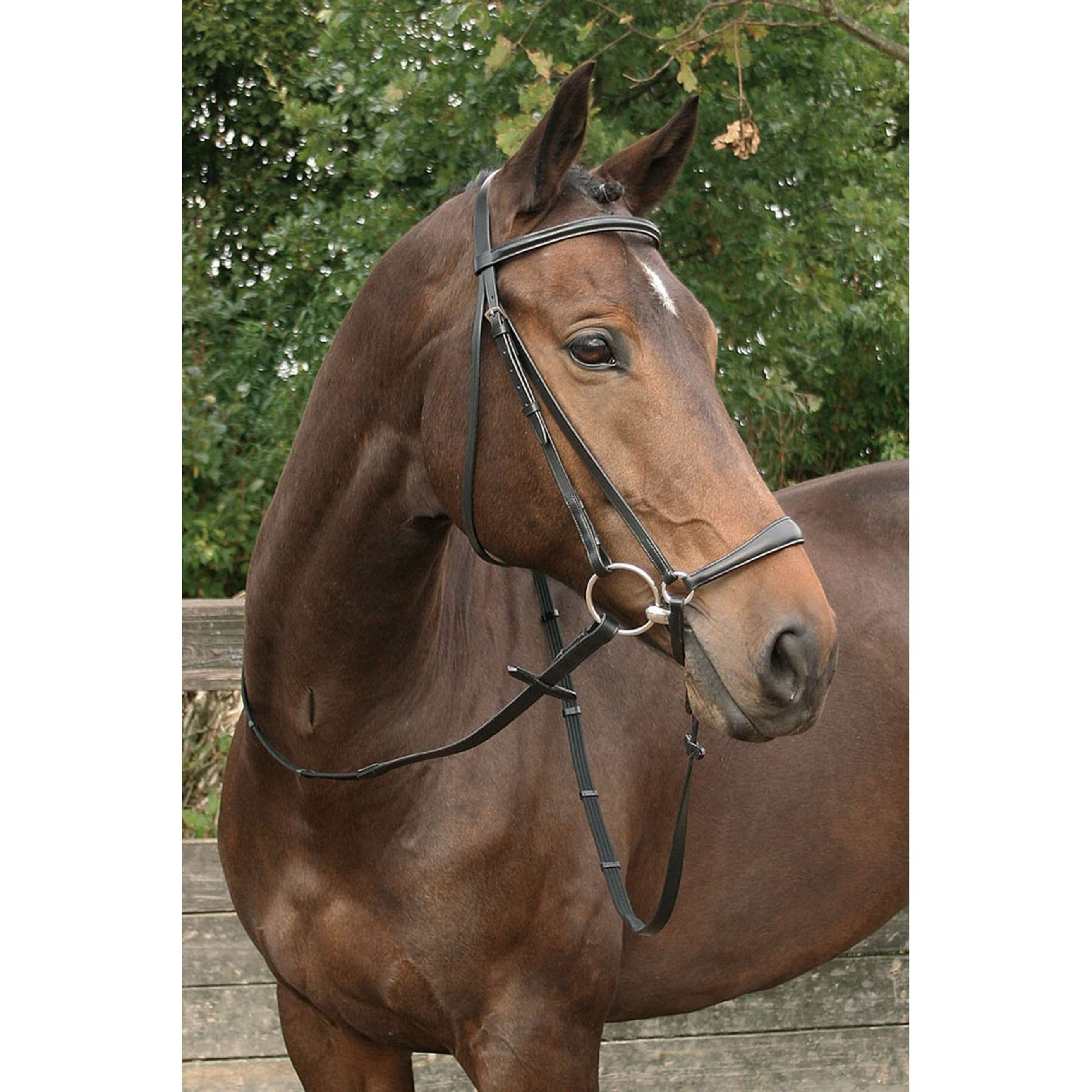 Harry's Horse Briglia Nero