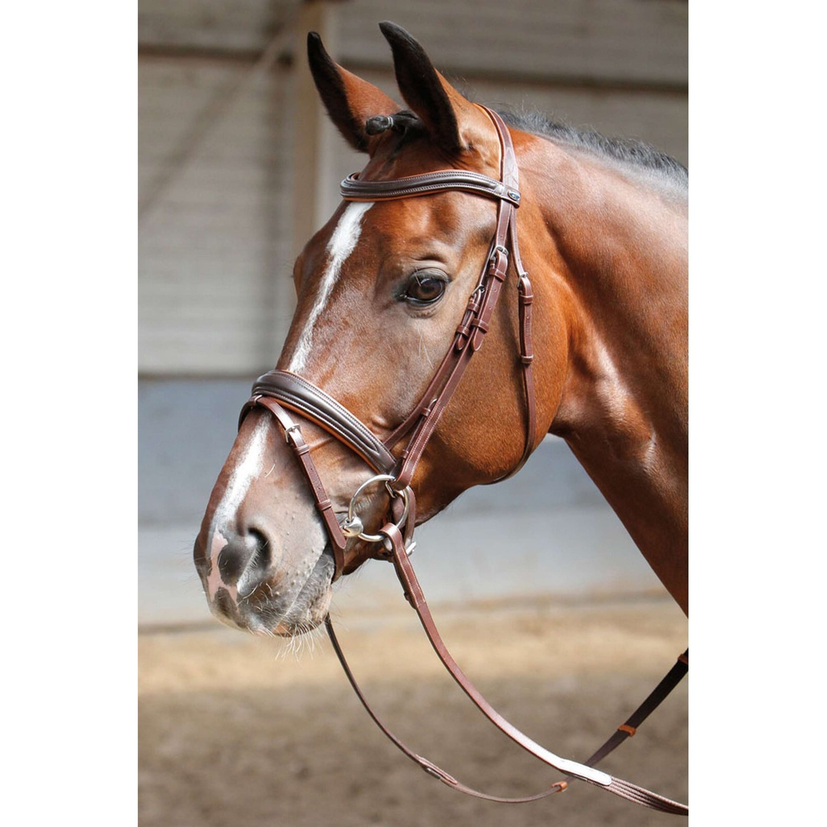 Harry's Horse Briglia Soft Marrone
