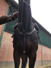 Harry's Horse Pettorale Deluxe Marrone