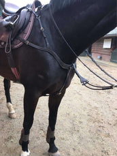 Harry's Horse Pettorale Deluxe Marrone
