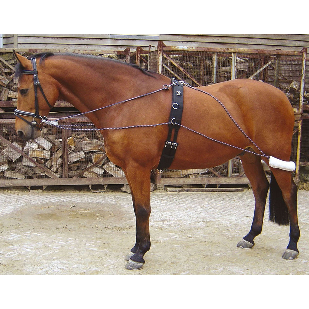 Harry's Horse Redini da Addestramento
