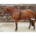 Harry's Horse Redini da Addestramento