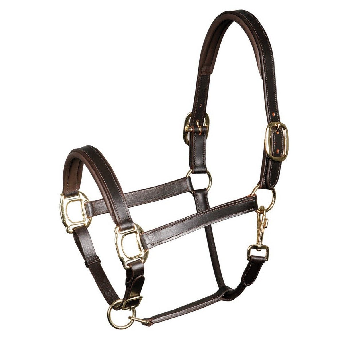 Harry's Horse Capezzina Padded Leder Marrone