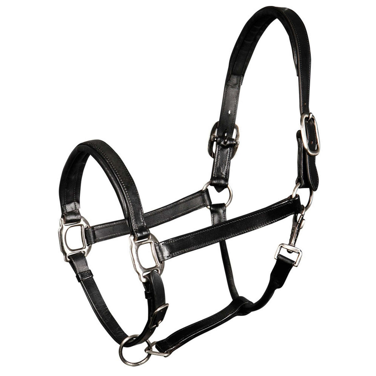 Harry's Horse Capezzina Padded Leder Nero
