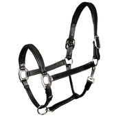 Harry's Horse Capezzina Padded Leder Nero
