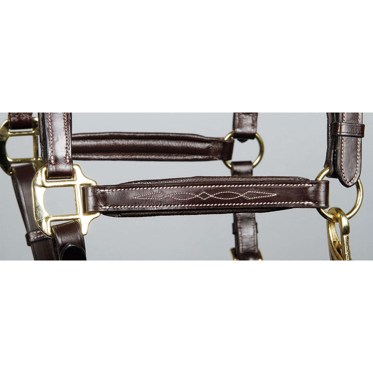 Harry's Horse Capezzina Supreme Leder Marrone