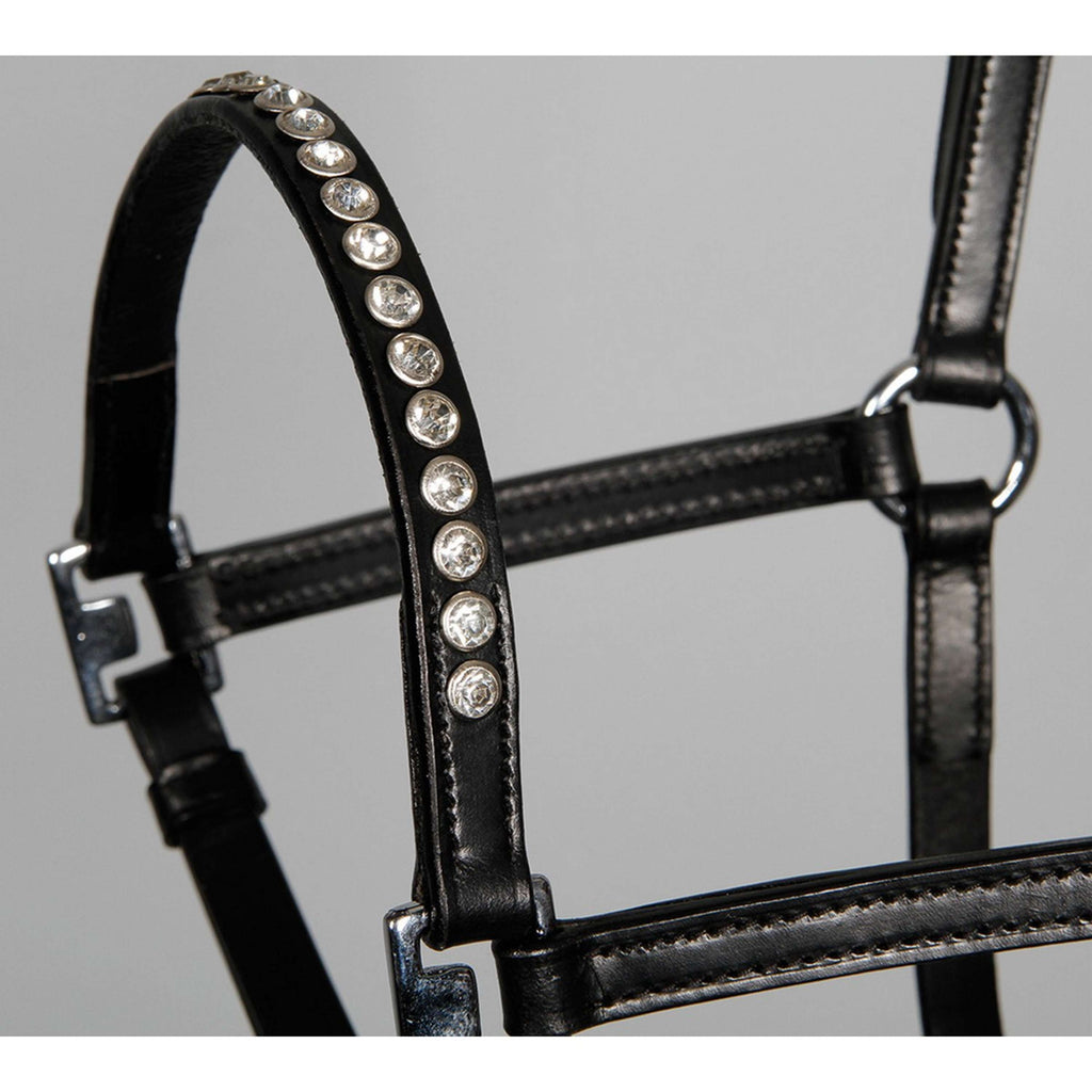 Harry's Horse Cavezza Crystal Nero/Argento