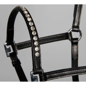 Harry's Horse Capezzina Crystal