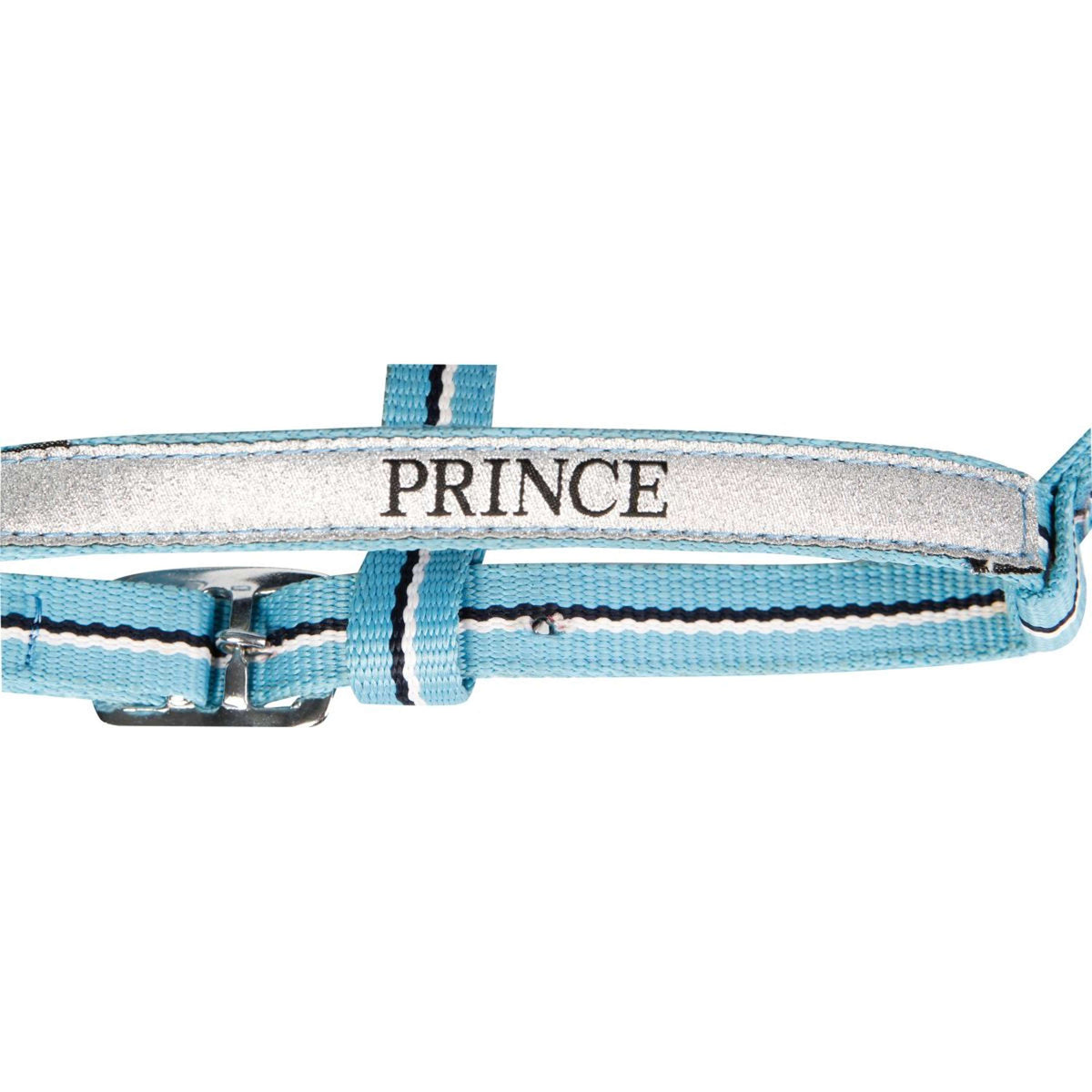 Harry's Horse Set Cavezza Foal Azzurro