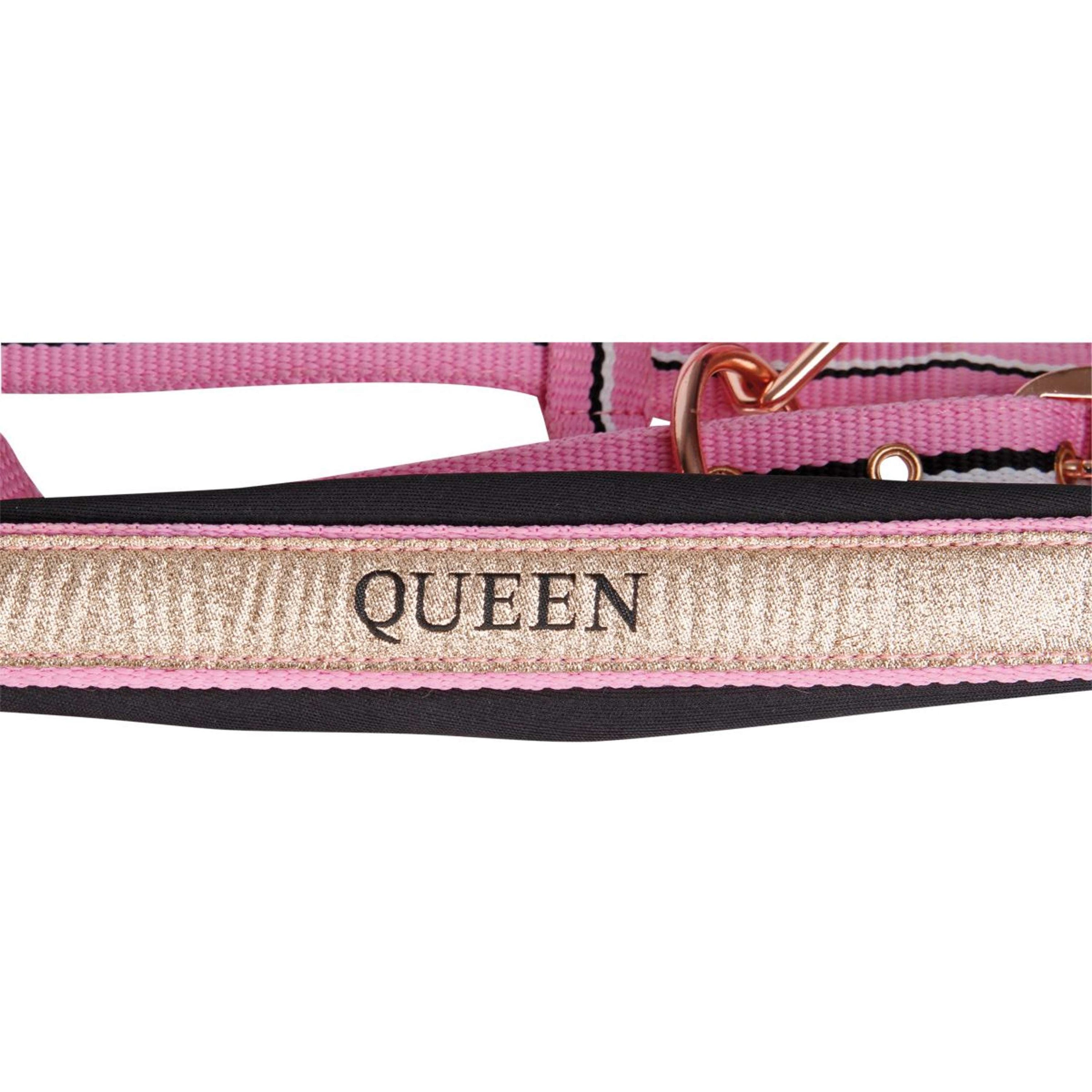 Harry's Horse Set Cavezza Mare Rosa Harry's Horse Set Cavezza Mare Rosa