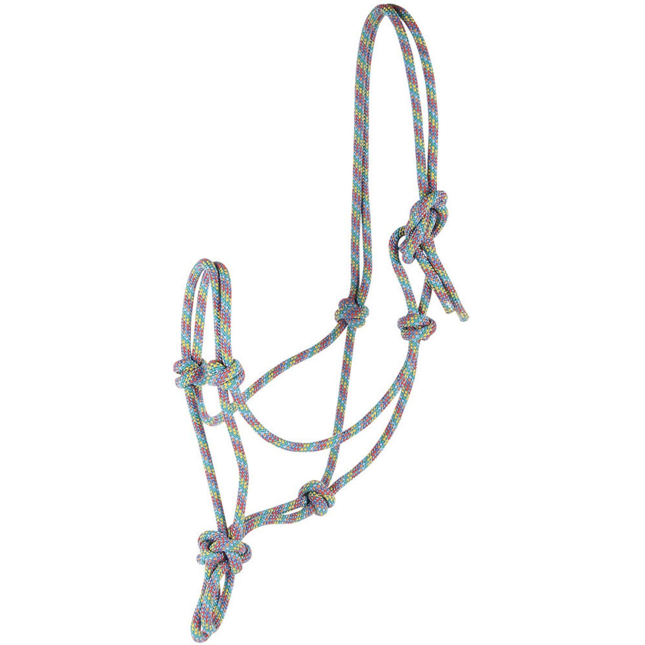 Harry's Horse Capestro in Corda Arcobaleno