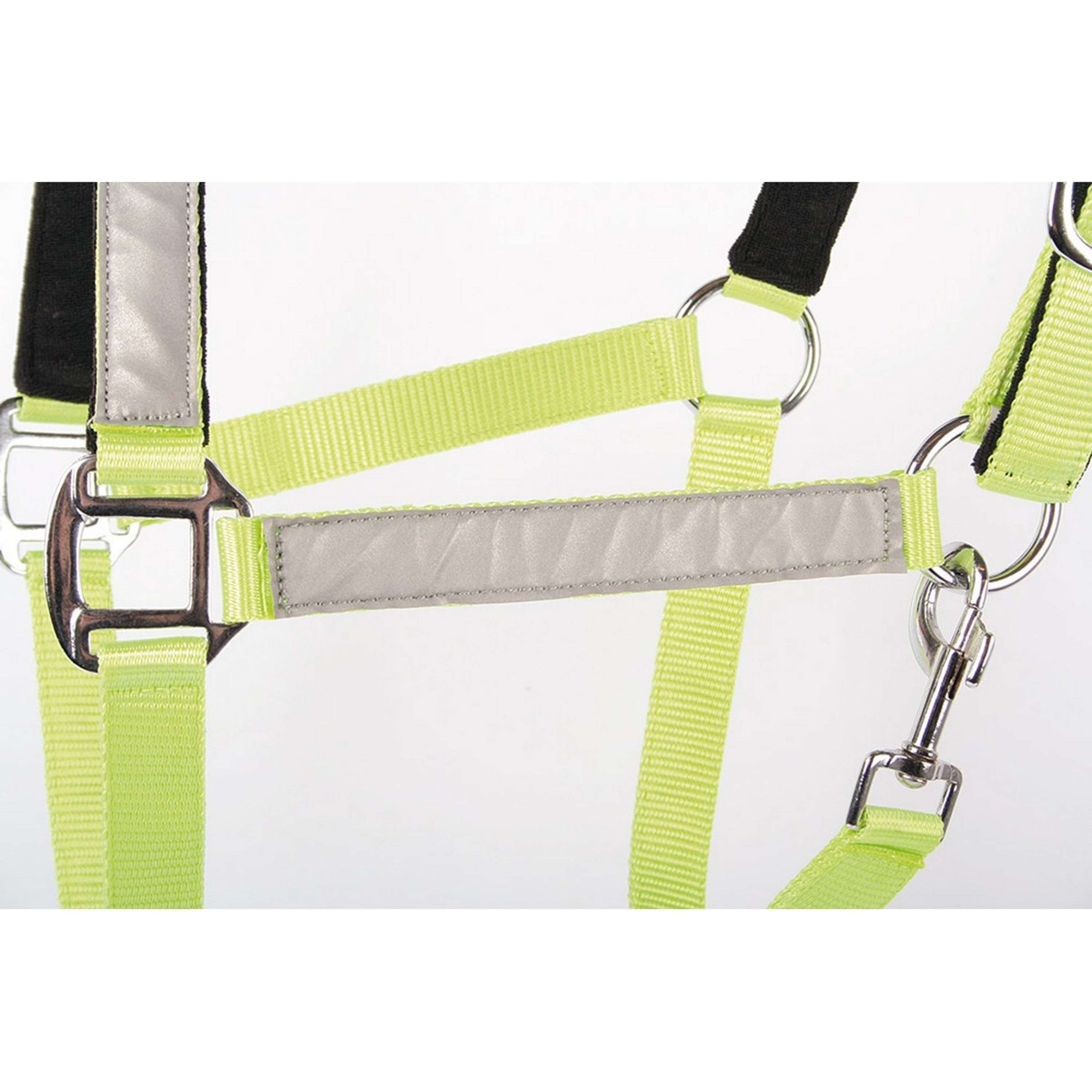 Harry's Horse Cavezza Reflective Riflettente Harry's Horse Cavezza Reflective Riflettente