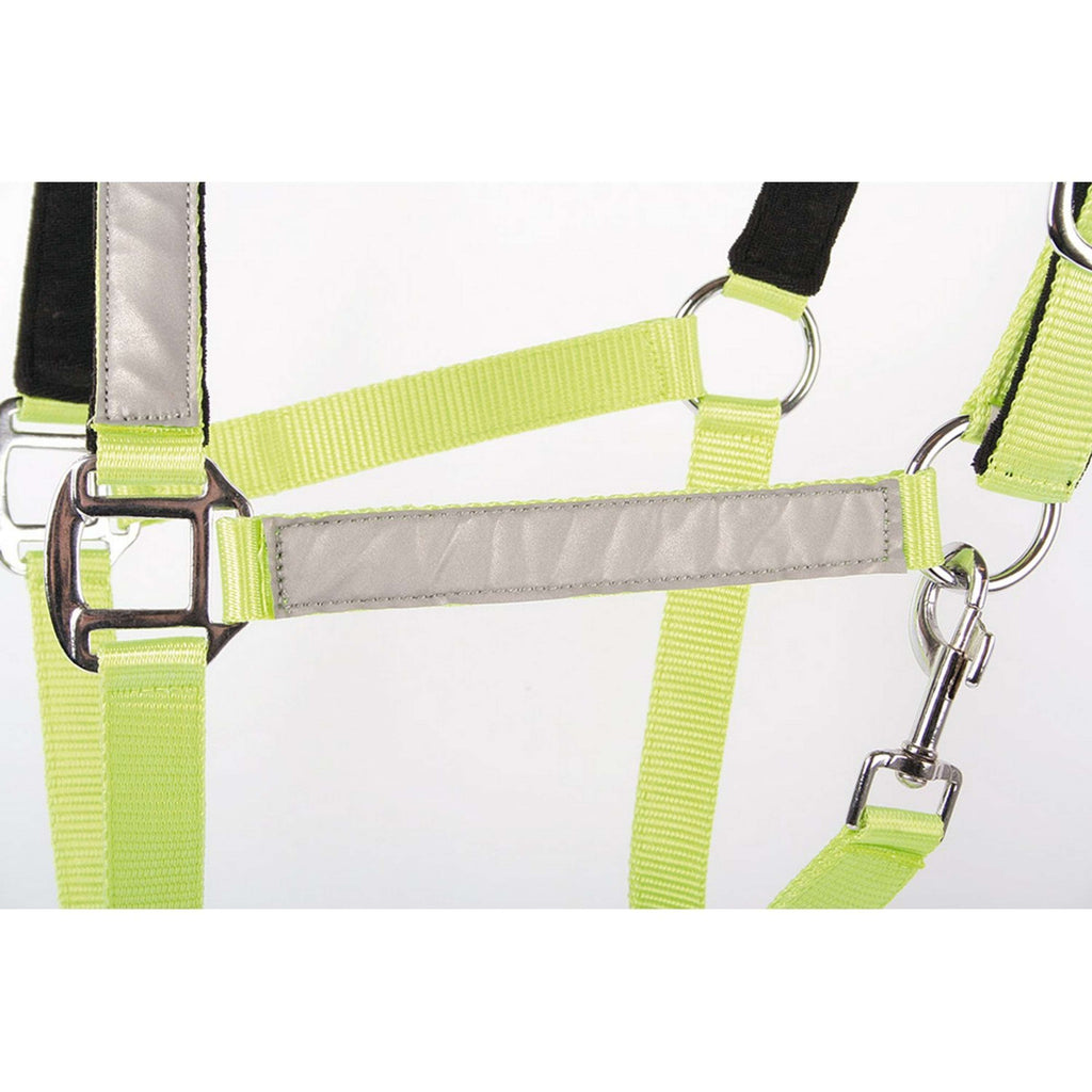 Harry's Horse Cavezza Reflective Riflettente
