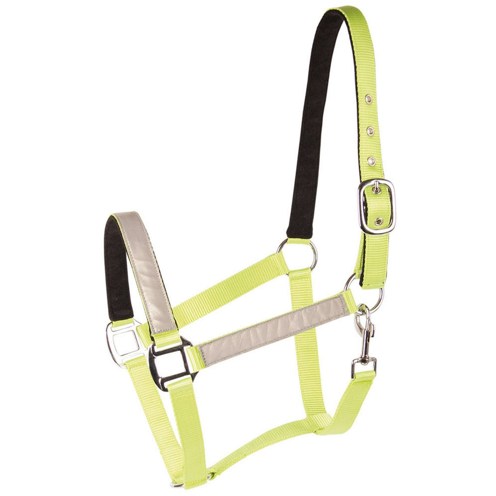 Harry's Horse Cavezza Reflective Riflettente