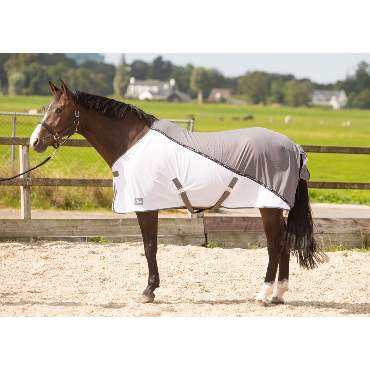 Harry's Horse Coperta Antimosche Grigio