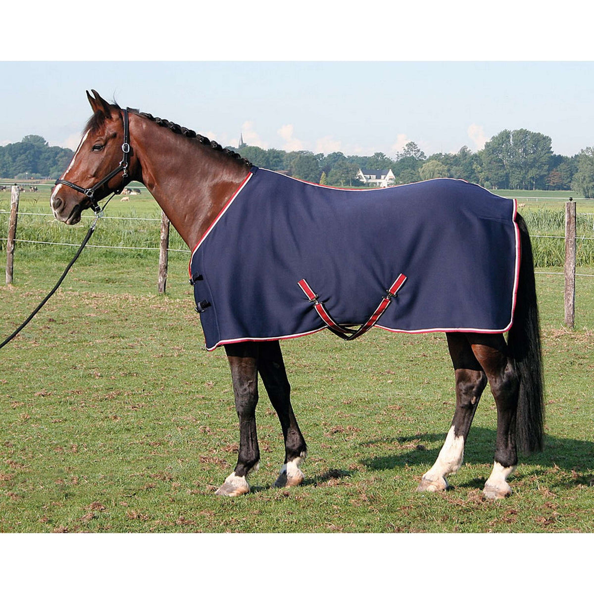 Harry's Horse Tappeto Jersey Cooler Navy