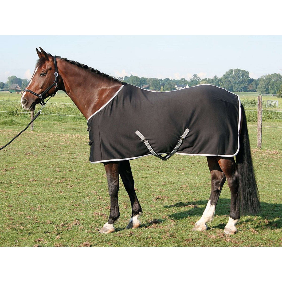 Harry's Horse Tappeto Jersey Cooler Nero