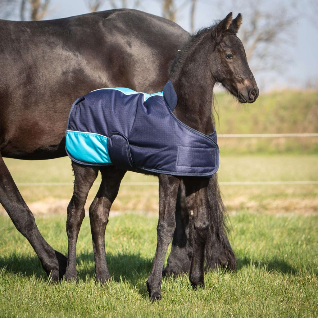Harry's Horse Coperta per Puledro TwoTone Navy