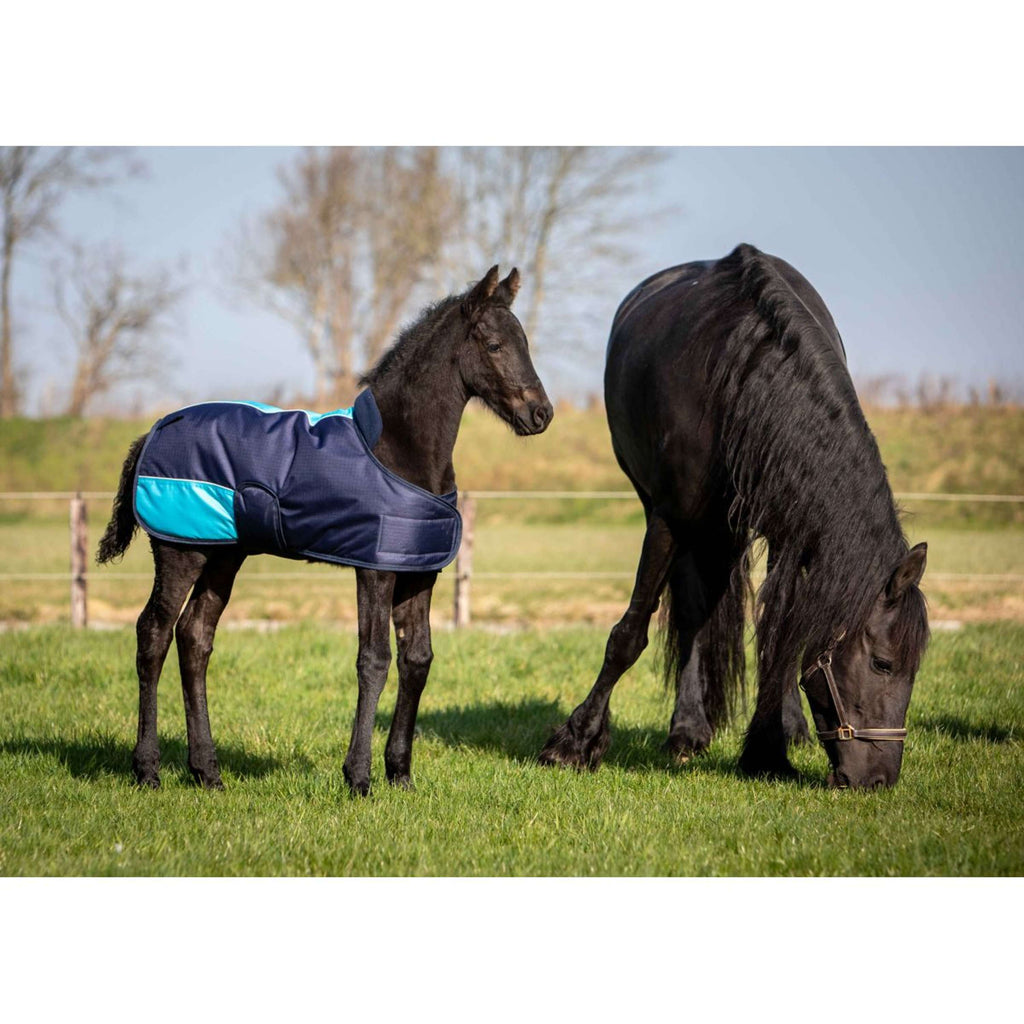 Harry's Horse Coperta per Puledro TwoTone Navy