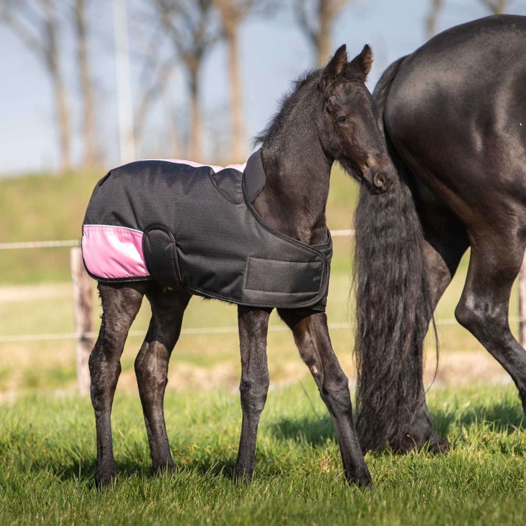Harry's Horse Coperta per Puledro TwoTone Nero