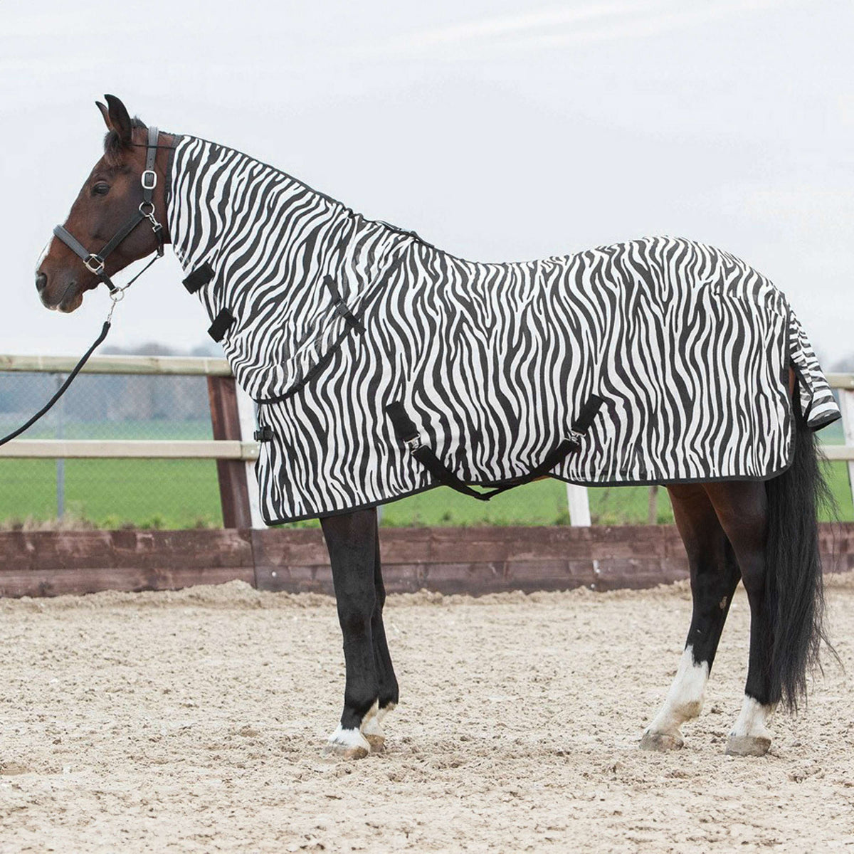Harry's Horse Coperta Antimosche Cappuccio Staccabile Zebra