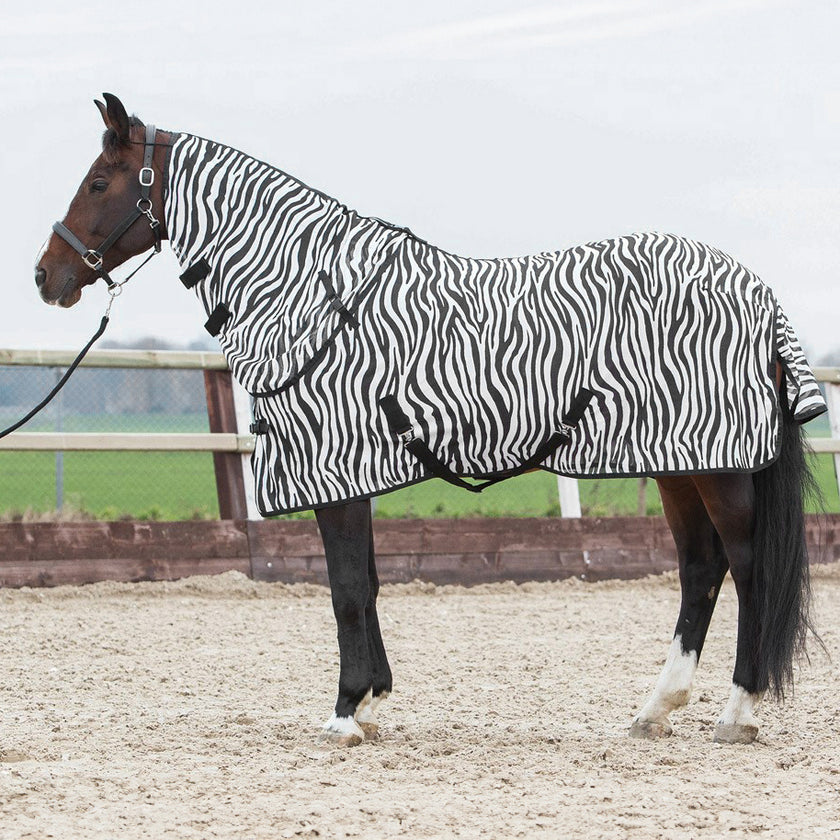 Harry's Horse Coperta Antimosche Cappuccio Staccabile Zebra