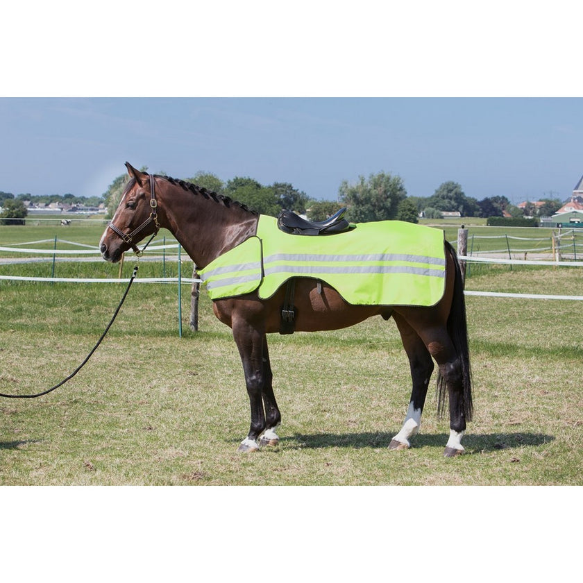 Harry's Horse Coperta da esercizio Reflective Riflettente